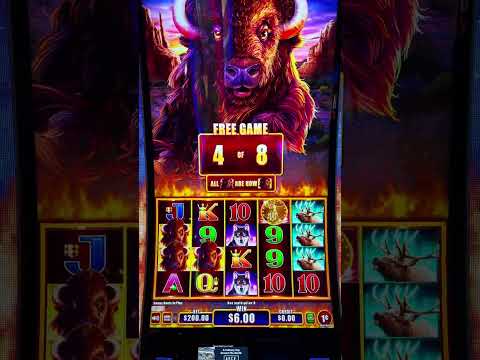 casino pinco online casino pinco online