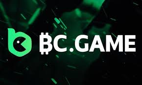 Understanding the BC.Game Login Process A Step-by-Step Guide